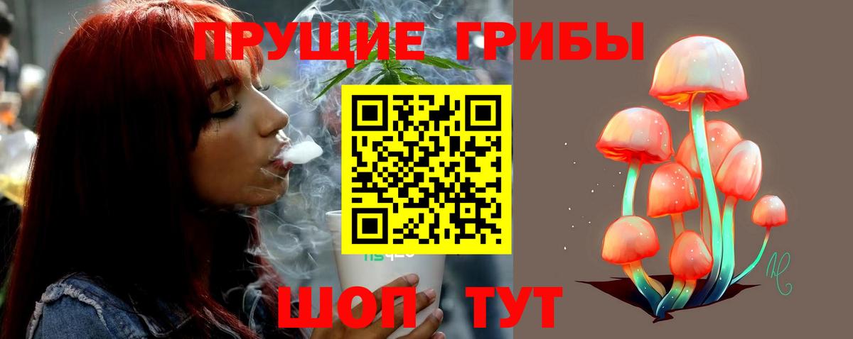Галлюциногенные грибы MAGIC MUSHROOMS  Вход с VPN  Алушта 